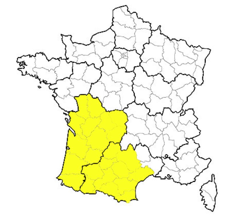 Démolition béton, sciage, rabottage, ponçage sols